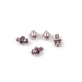 Rose zinc precision sems screws with spring washers